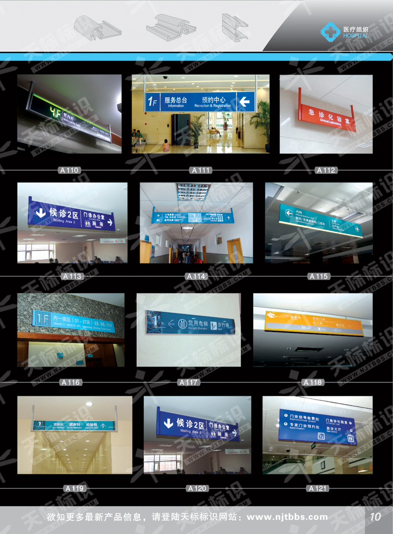 2011t(y)M(bio)_10